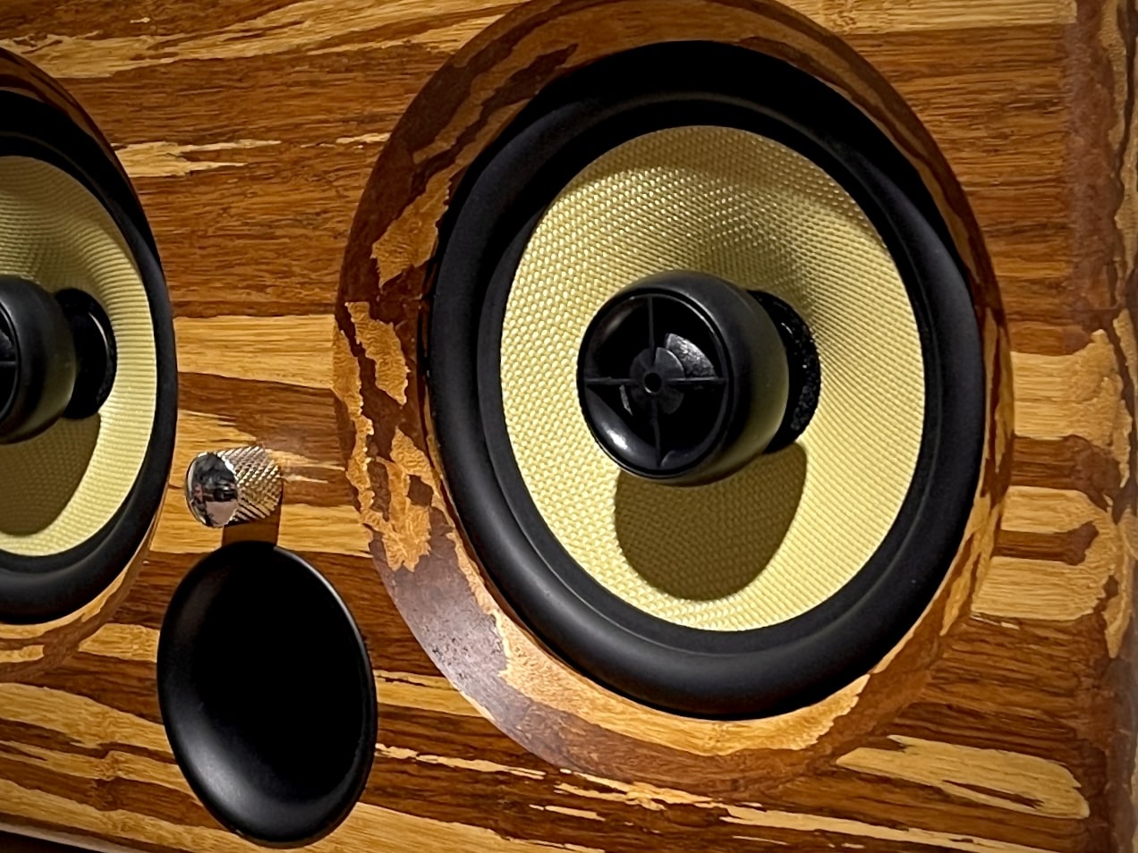 Thodio speaker with a wooden finish
