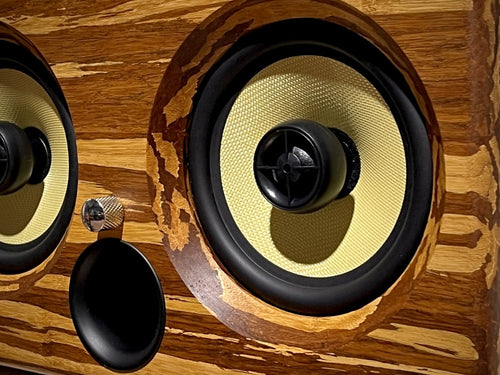 Thodio speaker with a wooden finish